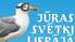Organizē pludmales fubola turnīru