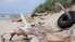 Novados tūristus interesē vikingi un Freimaņa atdusas vieta