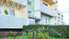 Kam traucēja priedītes?