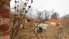 Likvidēs kalpu māju