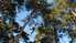 Pieņem ekspluatācijā piedzīvojumu parku "Tarzāns"