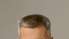 Jo vairāk saprot, jo vairāk interesējas