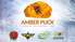 Šodien sākas "Amber Puck” turnīrs profesionāļiem