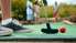 Minigolfa dueļi Mežaparkā