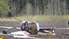 Traģēdijas un ķibeļu rallijs