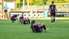 Futbolistes gatavojas Nāciju līgai