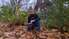 "Laikapziņa": Iestājusies meteoroloģiskā ziema