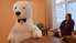 Dejojošs milzu lācis, kuram seko 16 tūkstoši