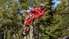 Nedēļas nogalē Sardīnijā tiks aizvadīts MXGP 2. posms