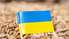 Arī Slovākija aizliedz Ukrainas labības ievešanu