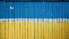 Liepājā būs skatāma Ukrainas mākslinieka un brīvprātīgā Volodimira Lapšova mākslas darbu izstāde