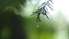Sestdien gaidāms lietus un brāzmains vējš, dienā kļūs vēsāks