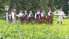 Kazdangas folkloras kopai "Zīle" – 35