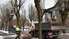 Foto un video: Arboristi sakopj koku vainagus