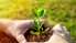 Stādītājiem līdzi jāņem lāpstiņa