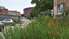 Nātres līdz logiem un kauns ciemiņu priekšā – kas atbild par nekopto īpašumu Lielajā ielā?
