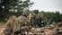 Mācībās "Namejs" piedalīsies ap 12 000 Latvijas un sabiedroto karavīru un zemessargu