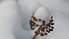 Naktī turpinās snigt, vietām sniega segai palielinoties par septiņiem centimetriem