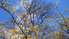 Otrdien būs lielākoties saulains laiks