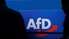 Putina padomnieks pirms svarīgām Vācijas vēlēšanām piedāvā strādāt ar AfD