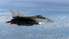 Beļģija līdz gada beigām plāno Ukrainai nodot desmit iznīcinātājus F-16