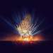 Summer Sound 2026
