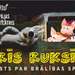 Trīs ruksīši  2+
